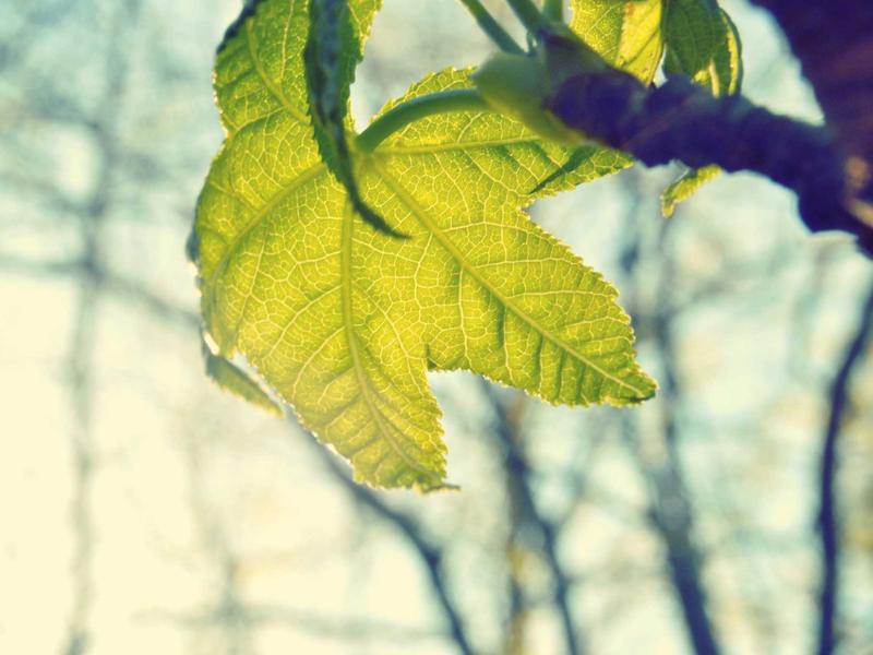 YraMerNavNorv Santa Fe